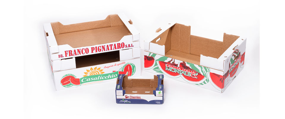 Imballaggi in cartone
